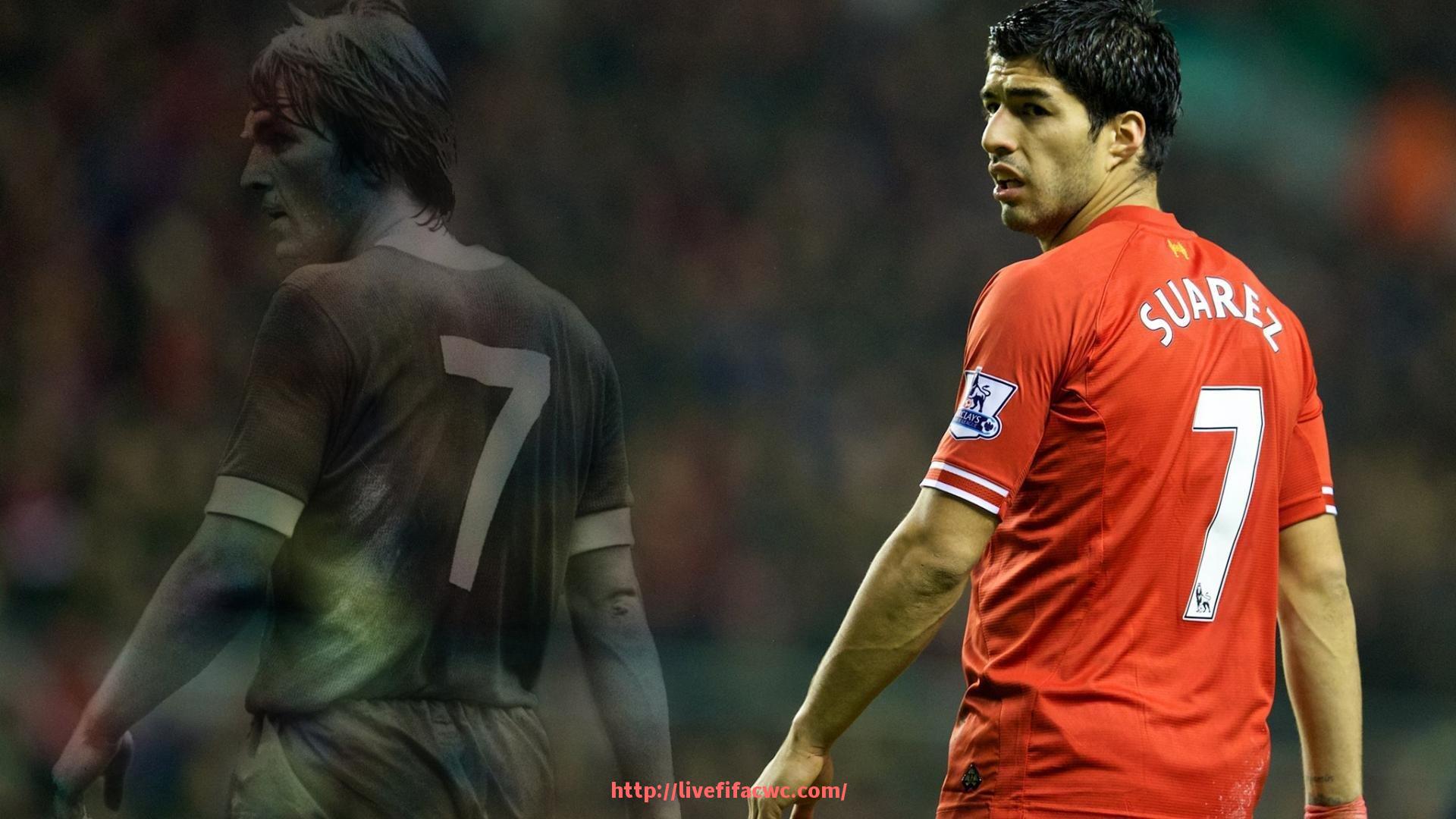 世俱杯直播-多功能健身器材使用方法及锻炼部位讲解